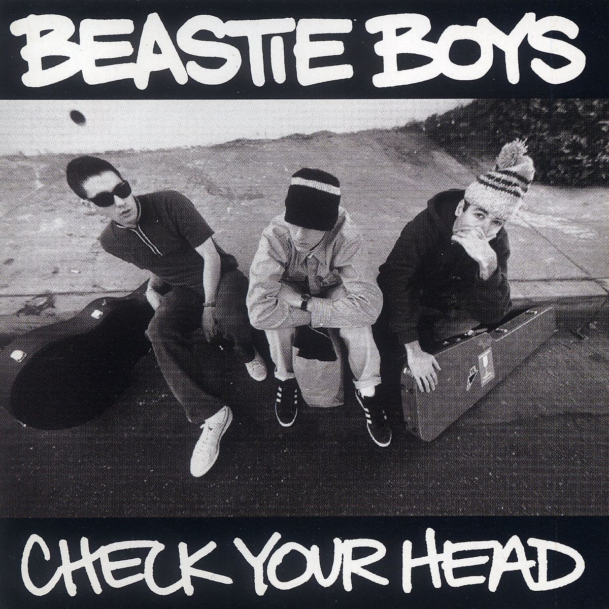 Beastie Boys | Check Your Head | 2LP artwork
