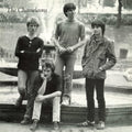 Chameleons | Tony Fletcher Walked On Water La La | 1LP