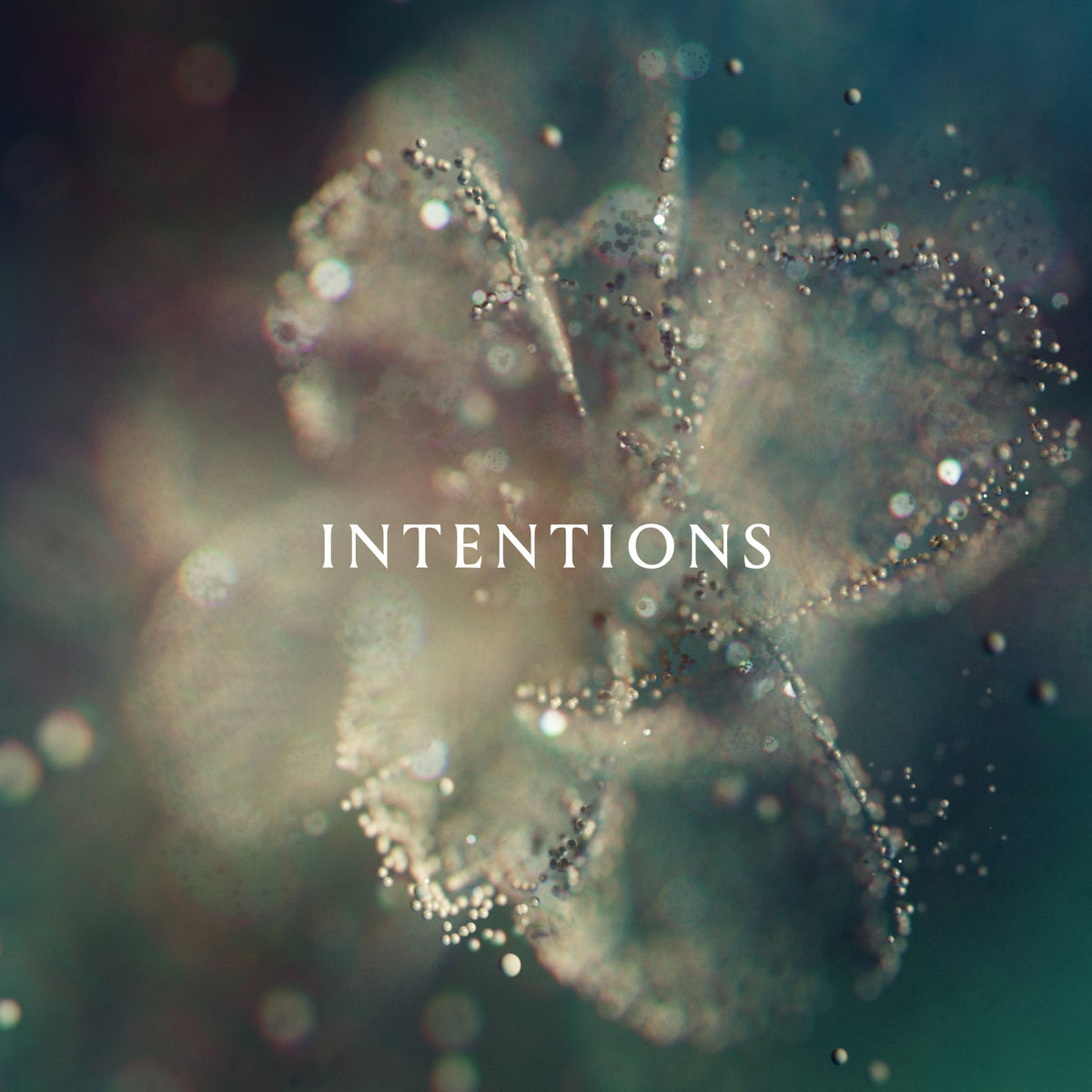 ANNA | Intentions | CD