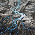 Anachronism | Meanders | LP