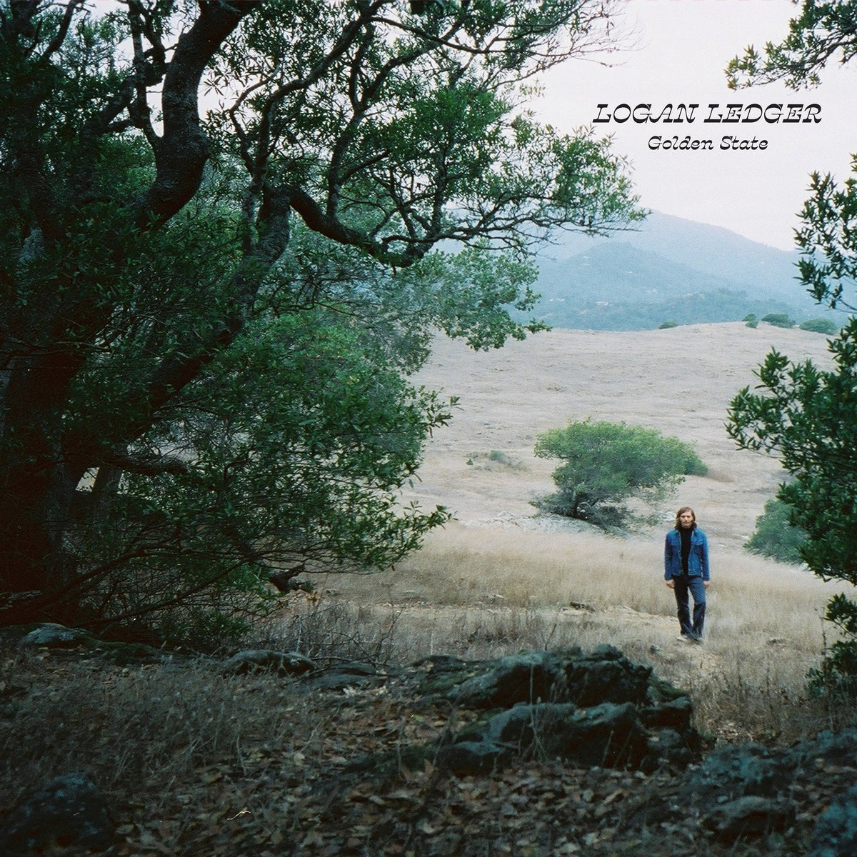Ledger, Logan | Golden State | 1LP