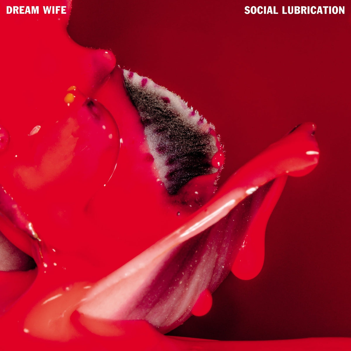 Dream Wife | Social Lubrication (Deep red coloured vinyl) | 1LP