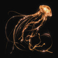 Royal Blood | Back To The Water Below | 1LP