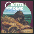 Grateful Dead | Wake Of The Flood (50th Annive | 1LP