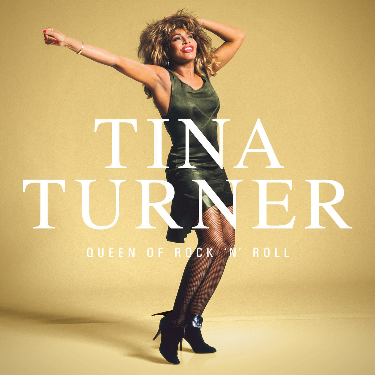 Tina Turner | Queen Of Rock N Roll | 1LP