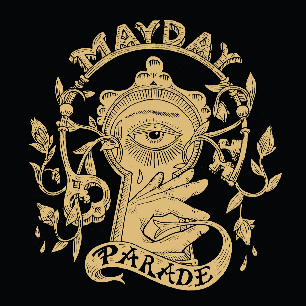 Mayday Parade | Monster In The Closet-10Th Ann | 1LP