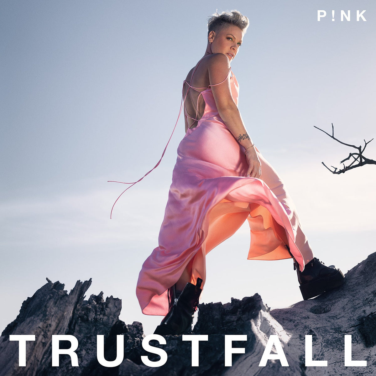 P!Nk | Trustfall | 1LP