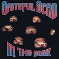 Grateful Dead | In The Dark (Silver Vinyl) | 1LP
