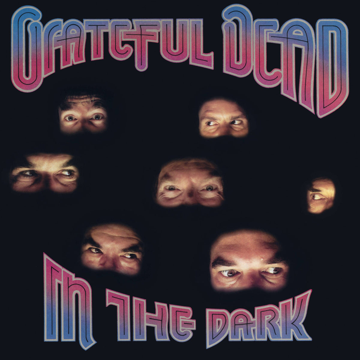 Grateful Dead | In The Dark (Silver Vinyl) | 1LP
