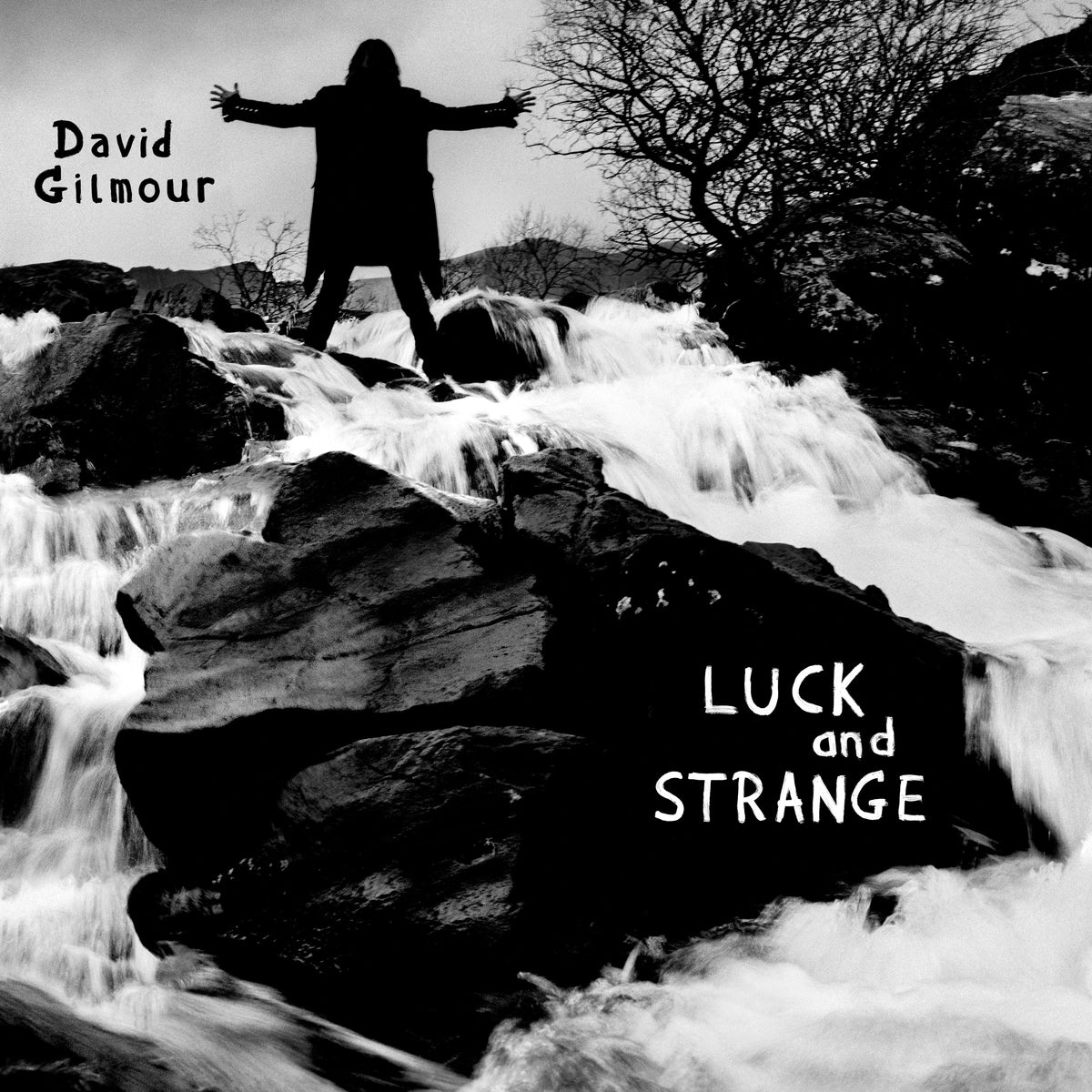 Gilmour, David | Luck And Strange | 1LP