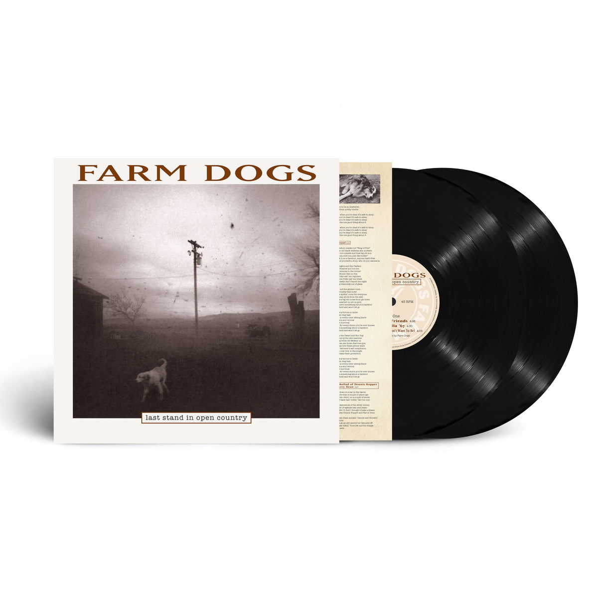 Farm Dogs | Last Stand in Open Country (Record Store Day 2024) | 2LP