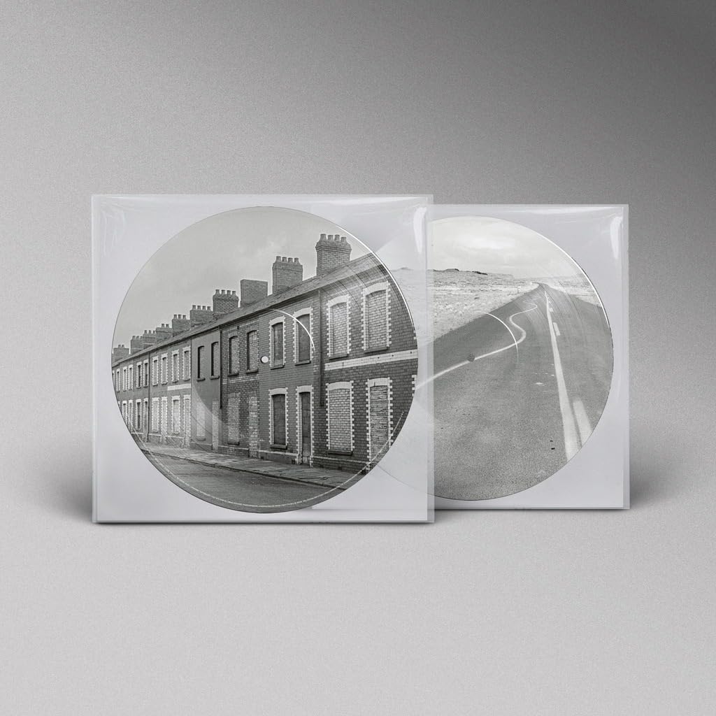 Manic Street Preachers | Critical Thinking | 1LP