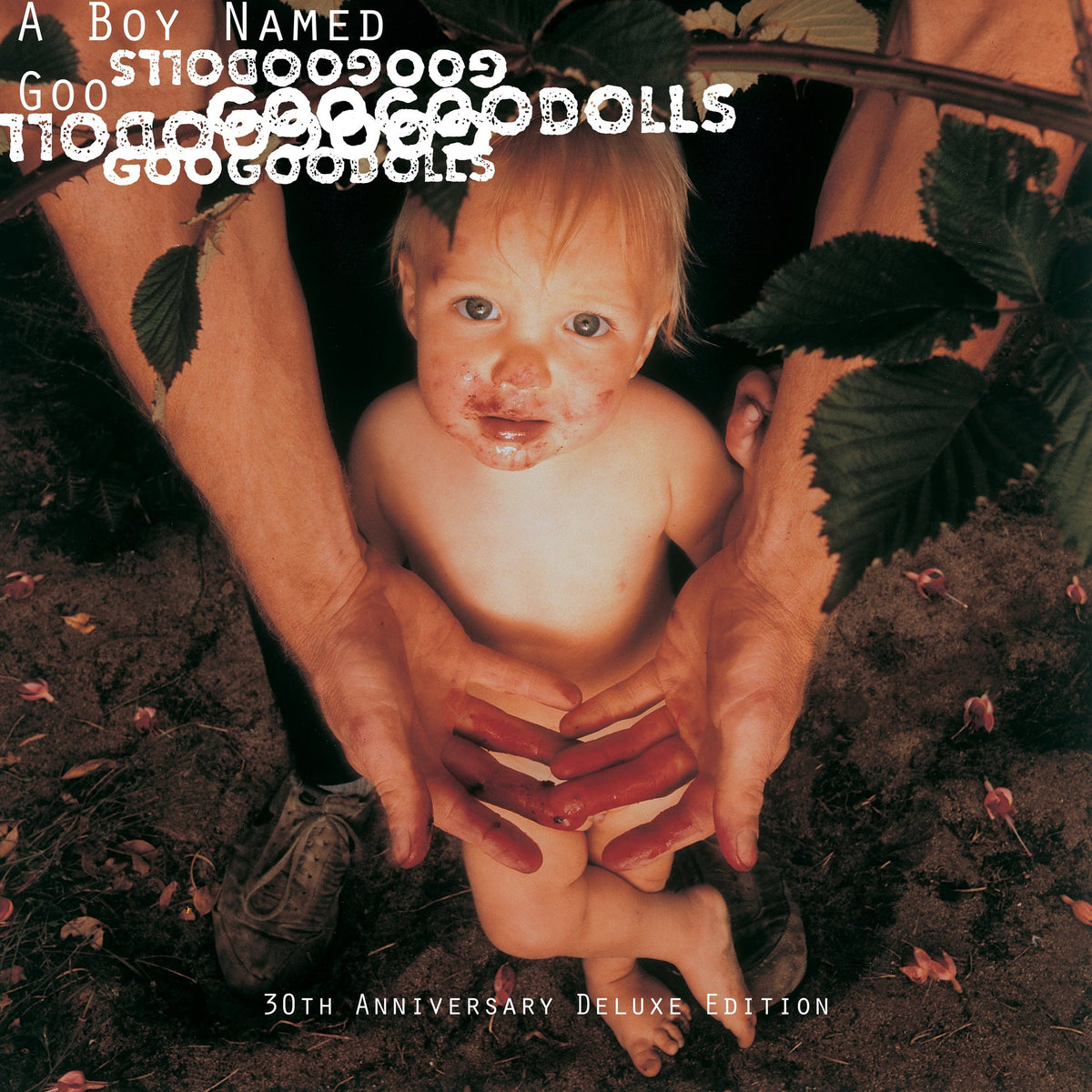 Goo Goo Dolls | A Boy Named Goo | 2LP