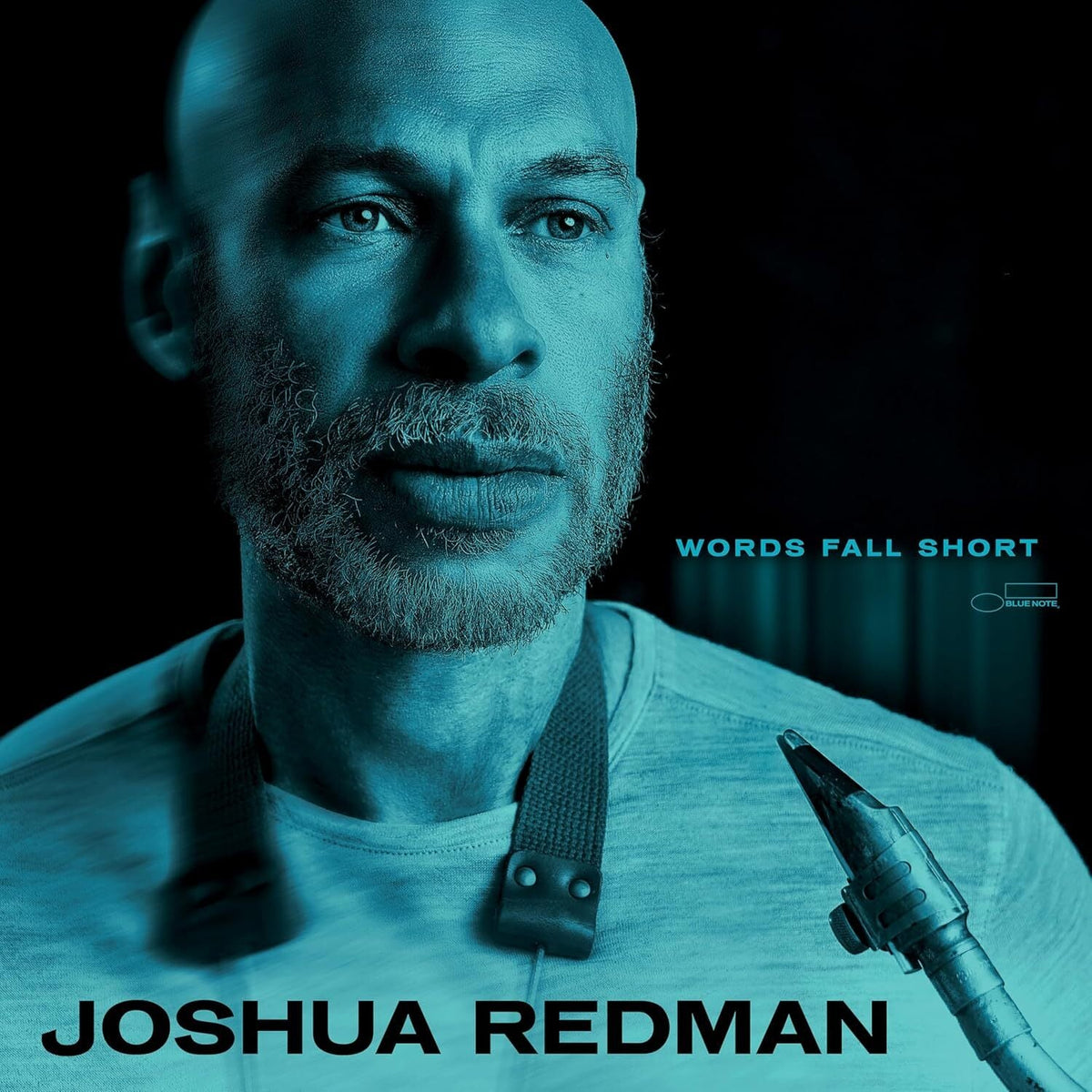 Redman Joshua | Words Fall Short | CD