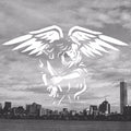 American Nightmare | Reunion Documentary | Blu-ray