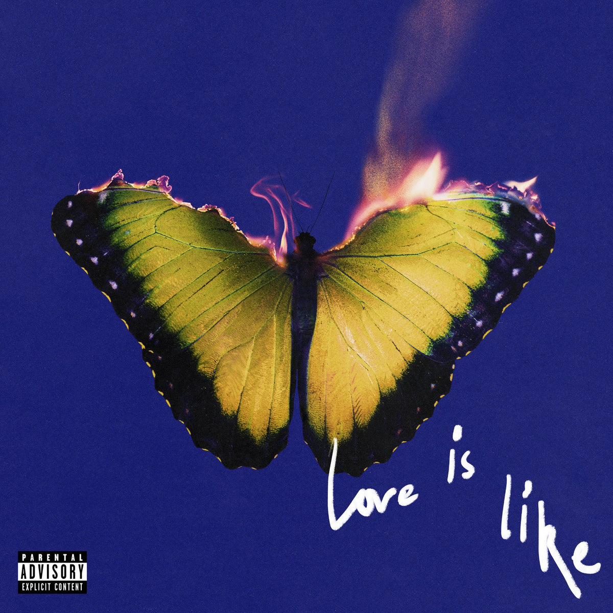 Maroon 5 | Love Is Like(Coloured Vinyl) | 1LP