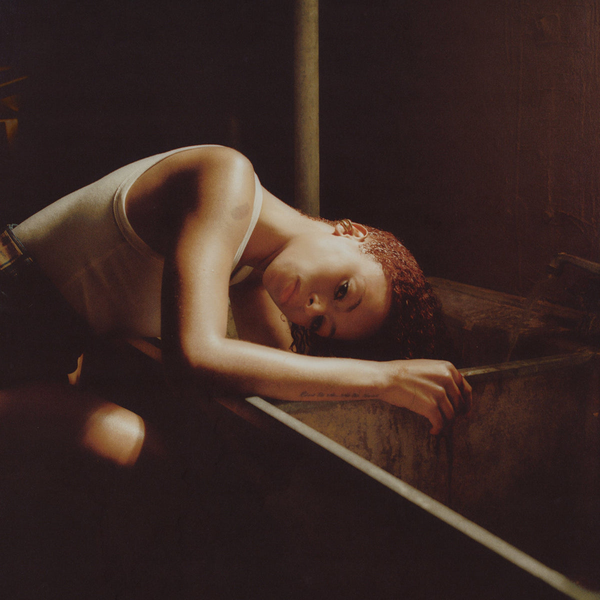 Lenae, Ravyn | Birds Eye | 1LP