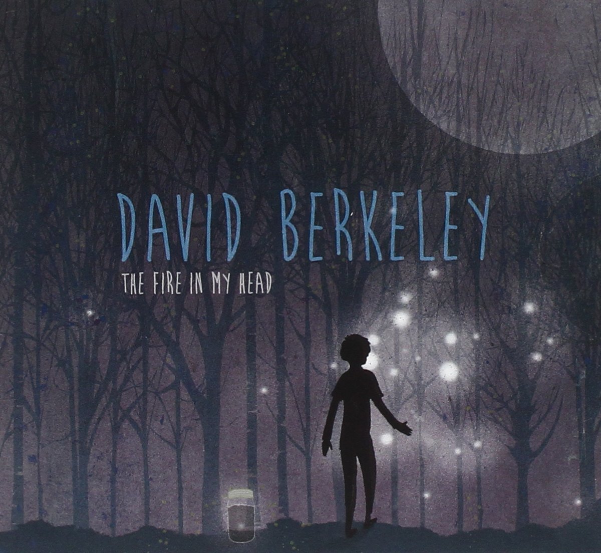 David Berkeley | The Fire in My Head | CD