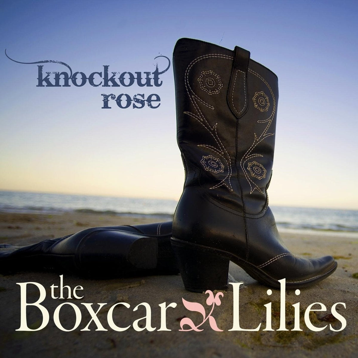 The Boxcar Lilies | Knockout Rose | CD