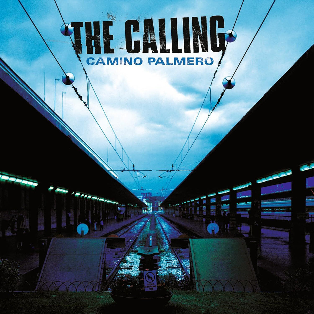 Calling | Camino Palmero | Vinyl