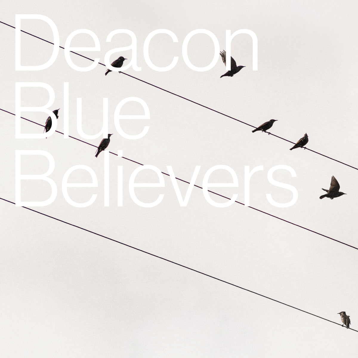 Deacon Blue | Believers | CD