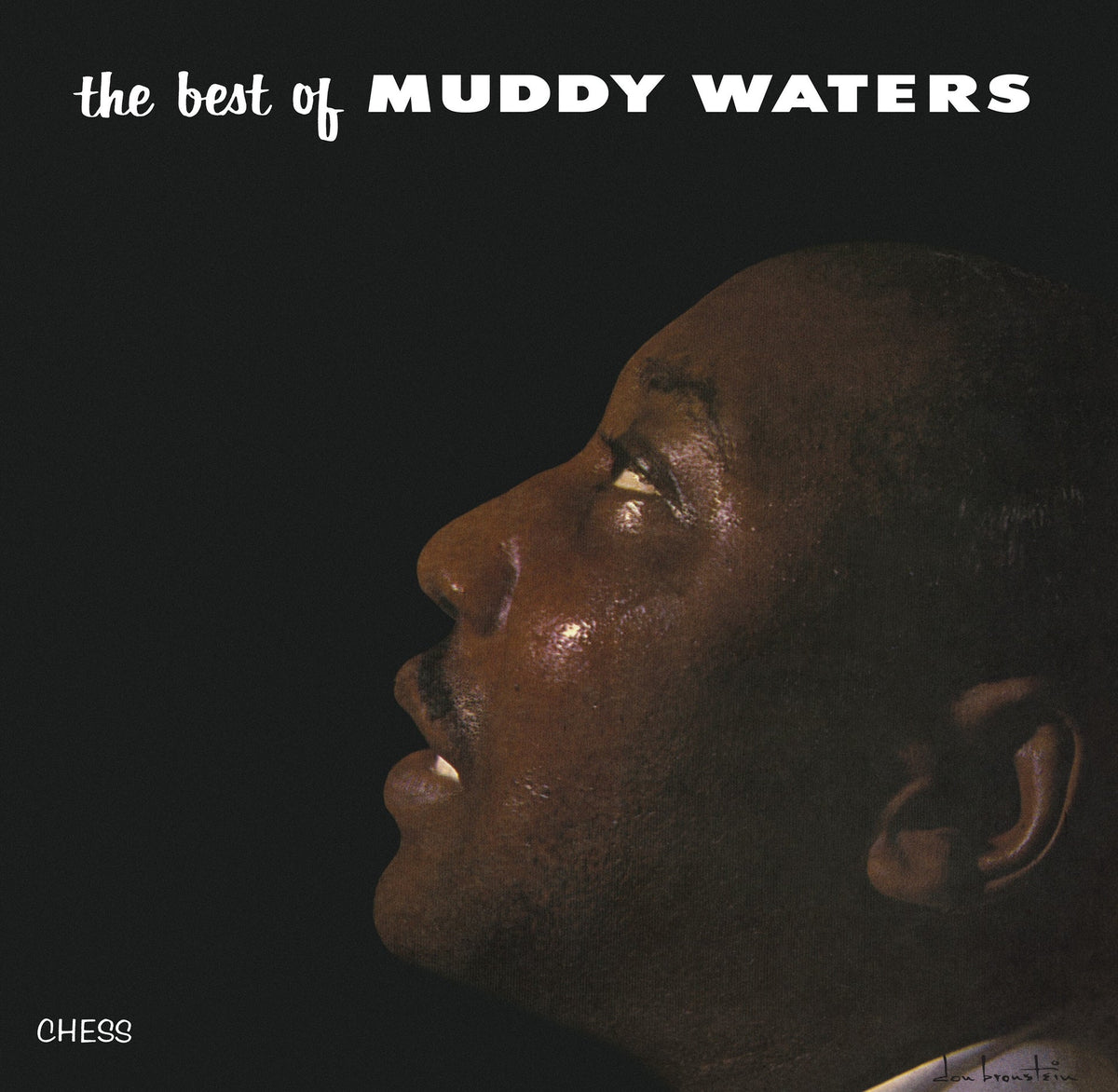 Waters, Muddy | Best Of Muddy Waters | 1LP