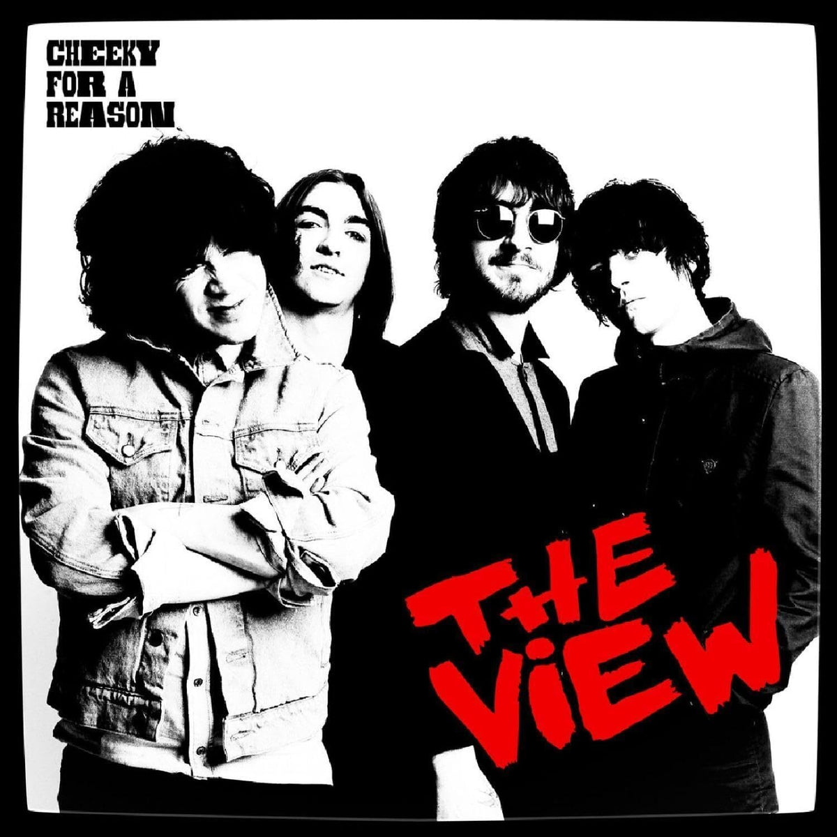 VIEW | Cheeky For Reason | CD