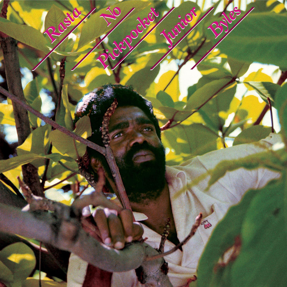 Junior Byles | RASTA NO PICKPOCKET | CD