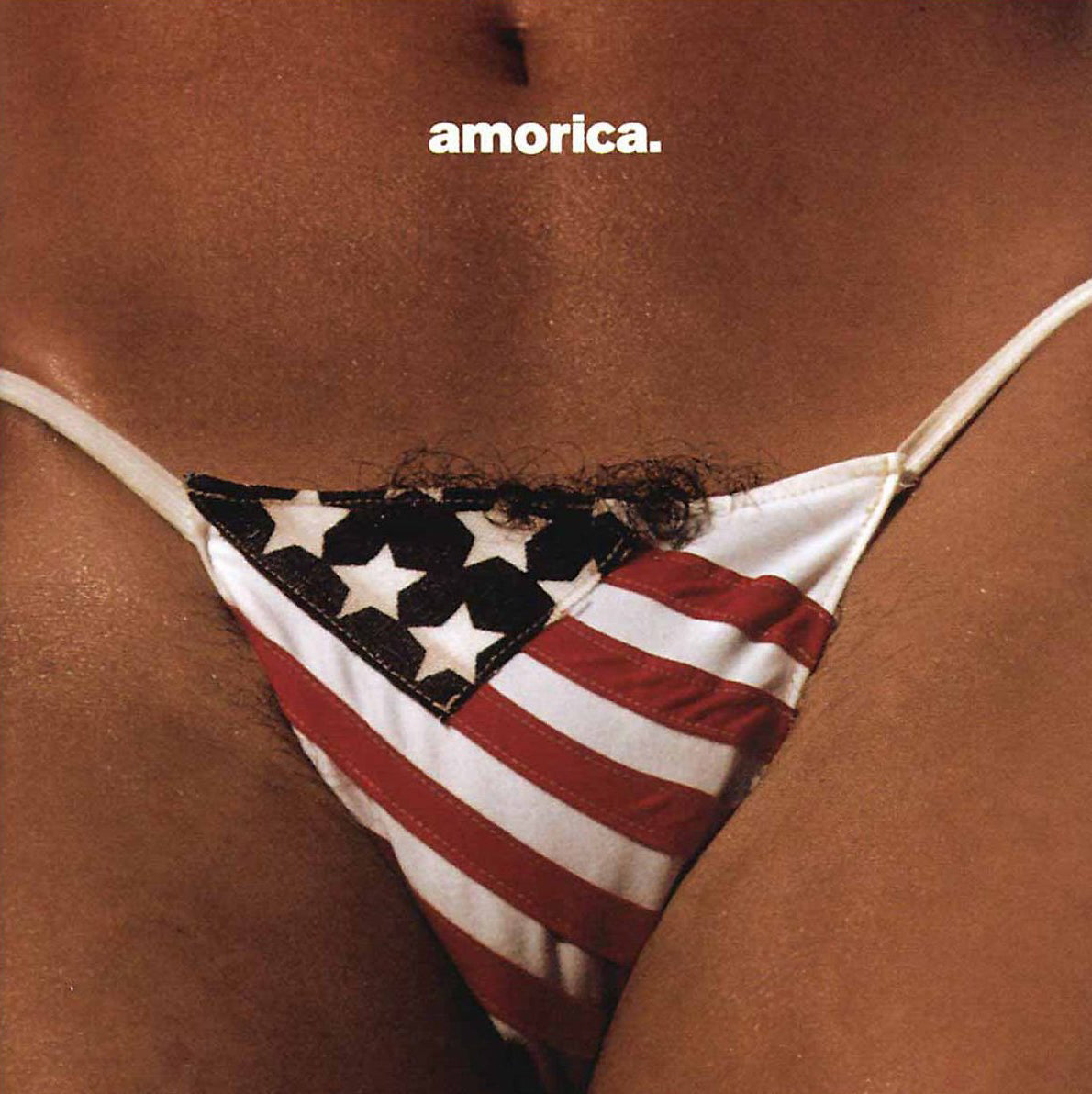 The Black Crowes | Amorica. | CD
