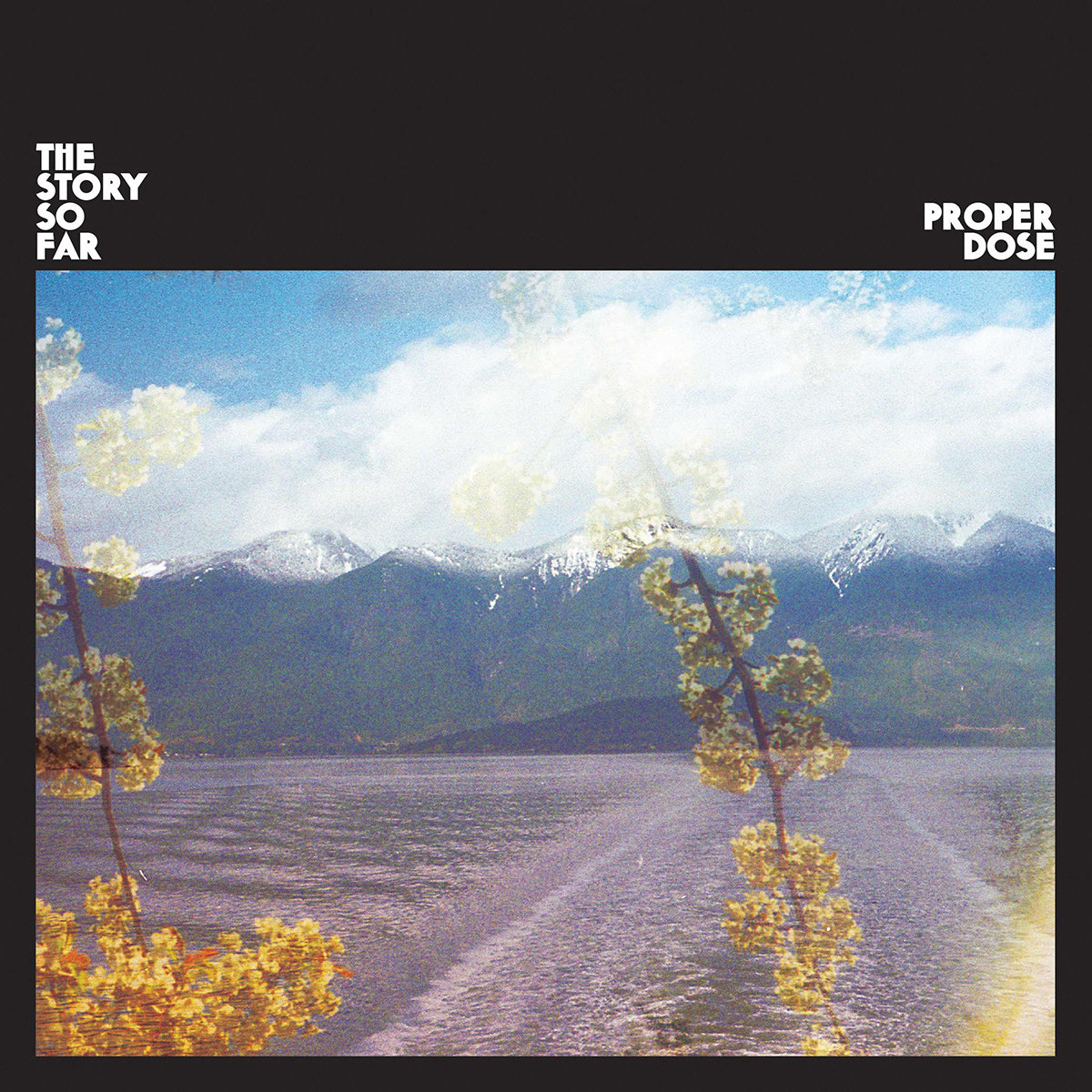 Story So Far | Proper Dose | CD