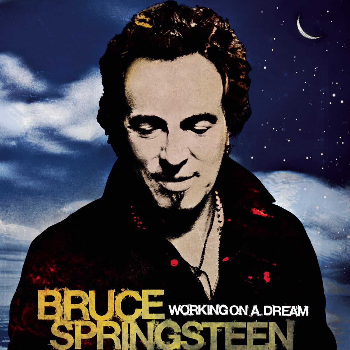Springsteen, Bruce | Working On A Dream | CD