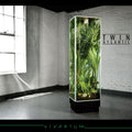 Twin Atlantic | Vivarium | CD