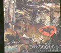 Bell Orchestre | Recording a Tape the Colour of the Light | CD