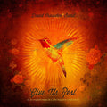 Crowder, David | Give Us Rest | CD