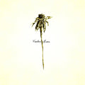 Patrick Watson | Wooden Arms | CD