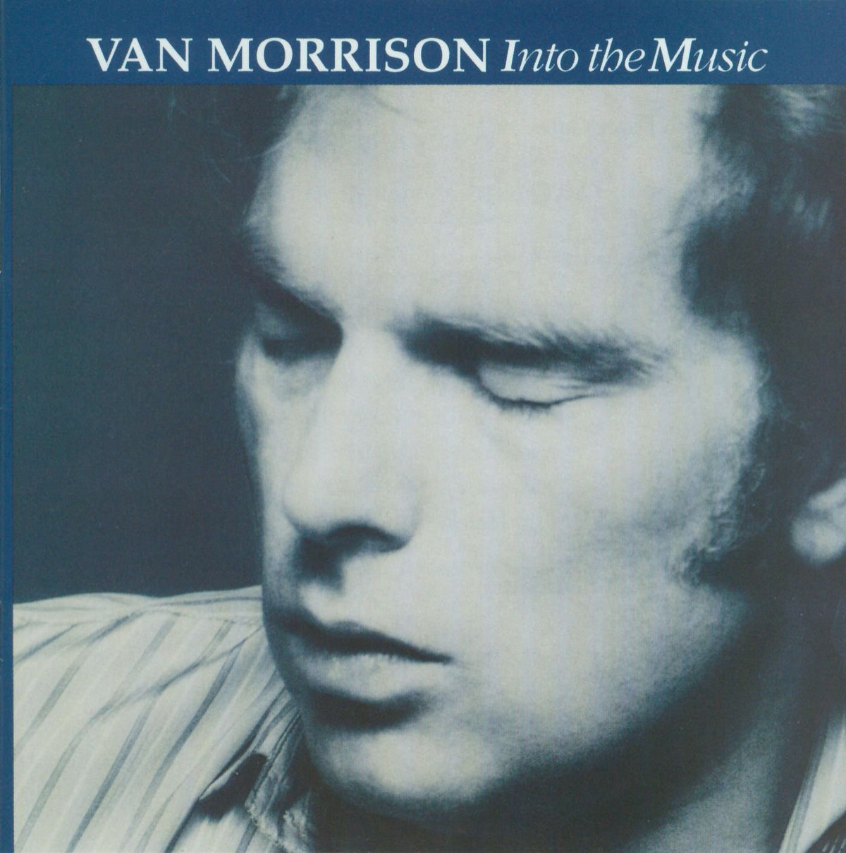 Morrison, Van | Into The Music | CD
