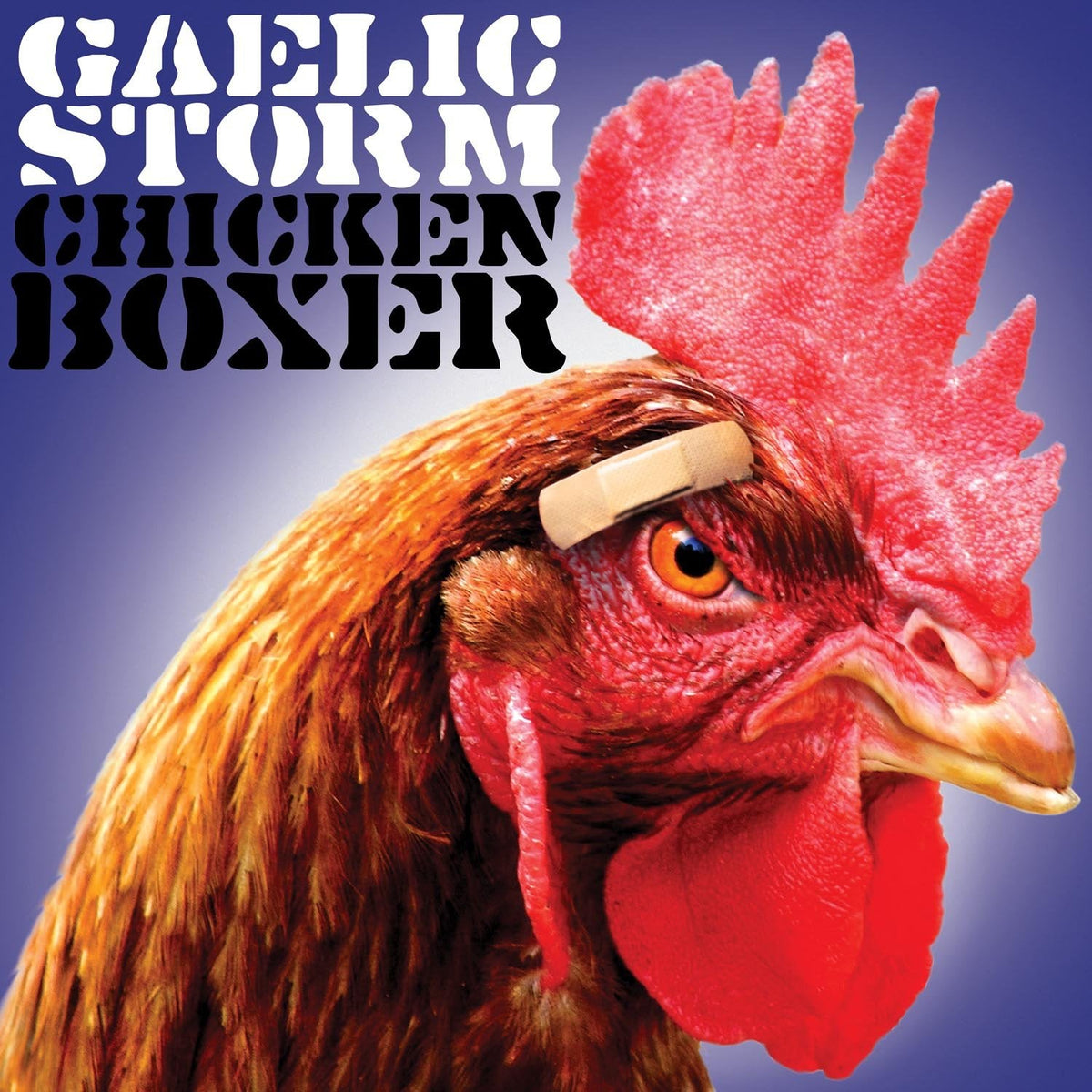 Gaelic Storm | Chicken Boxer | CD