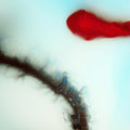 Stubborn Heart | Stubborn Heart | CD