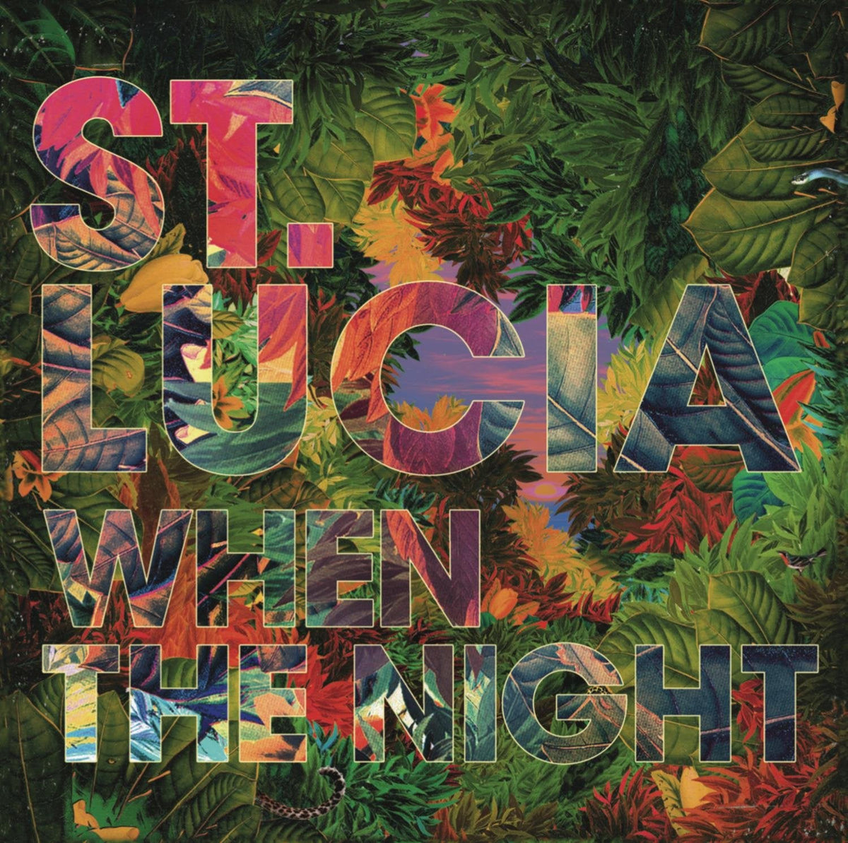 St.Lucia | When The Night | CD