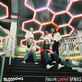 Blossoms | Foolish Loving Spaces | CD