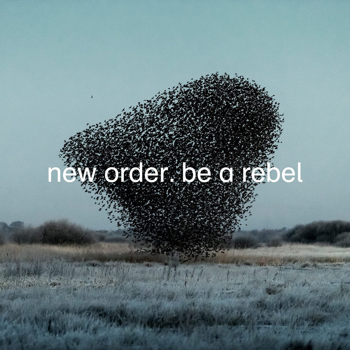 New Order | Be A Rebel | 1LP