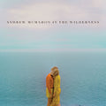 Mcmahon, Andrew In The Wilderne | Andrew Mcmahon In The Wilderne | CD