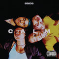 5 Seconds of Summer | CALM | CD