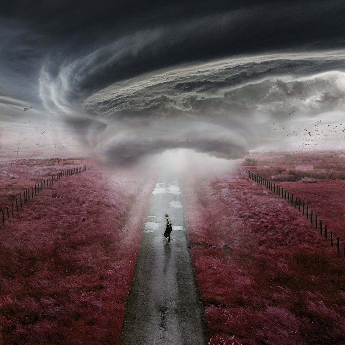 Dylan Fraser | The Storm (RSD 2021) | 1LP