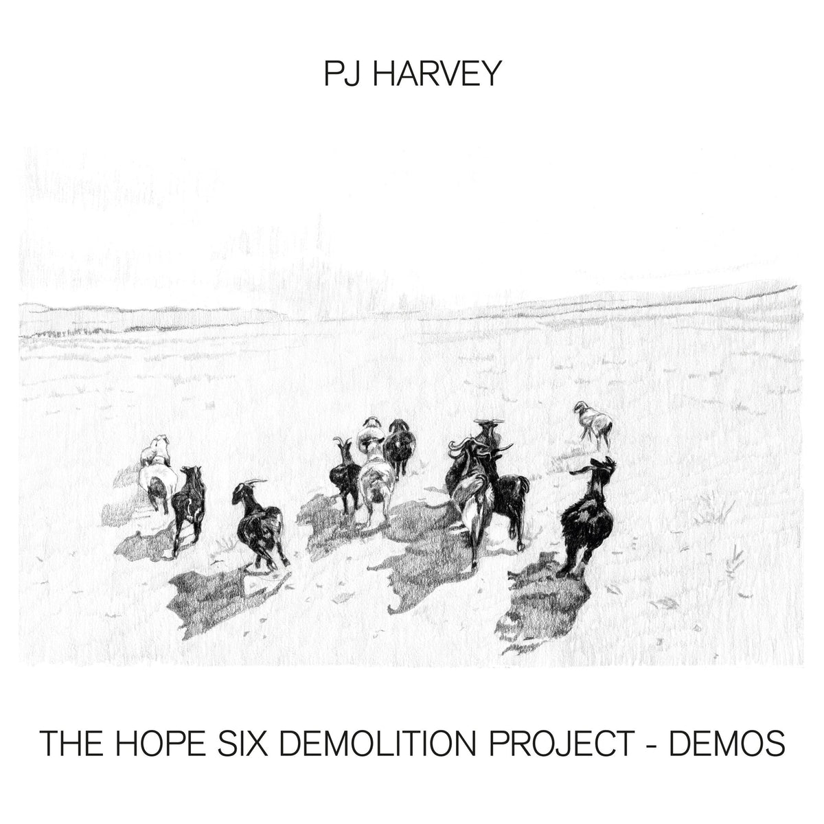 Harvey, Pj | Hope Six Demolition Project | CD