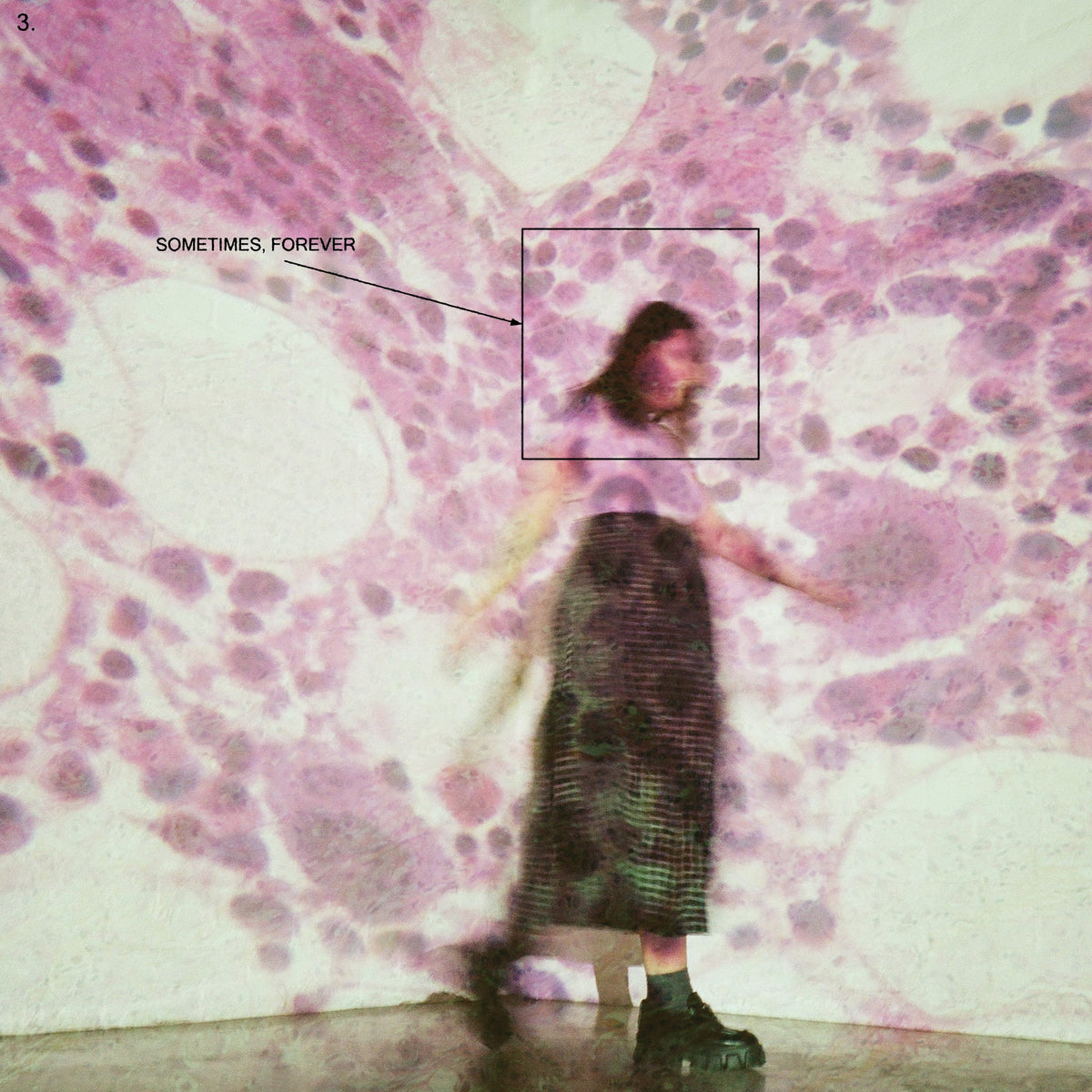 Soccer Mommy | Sometimes Forever | CD