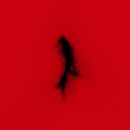 Dingwei | United | CD