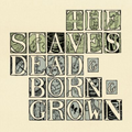 Staves | Dead & Born & Grown | 1LP