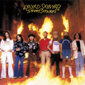 Lynyrd Skyny | Street Survivors | 1LP