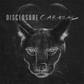 Disclosure | Caracal | CD
